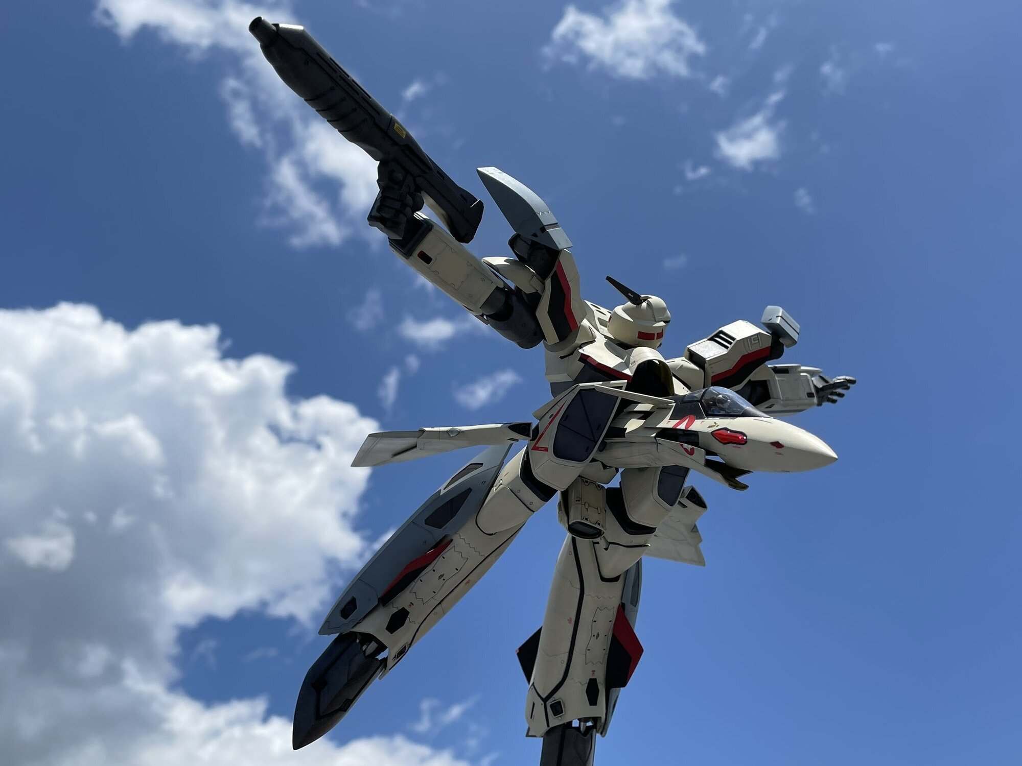 ハセガワ 賞